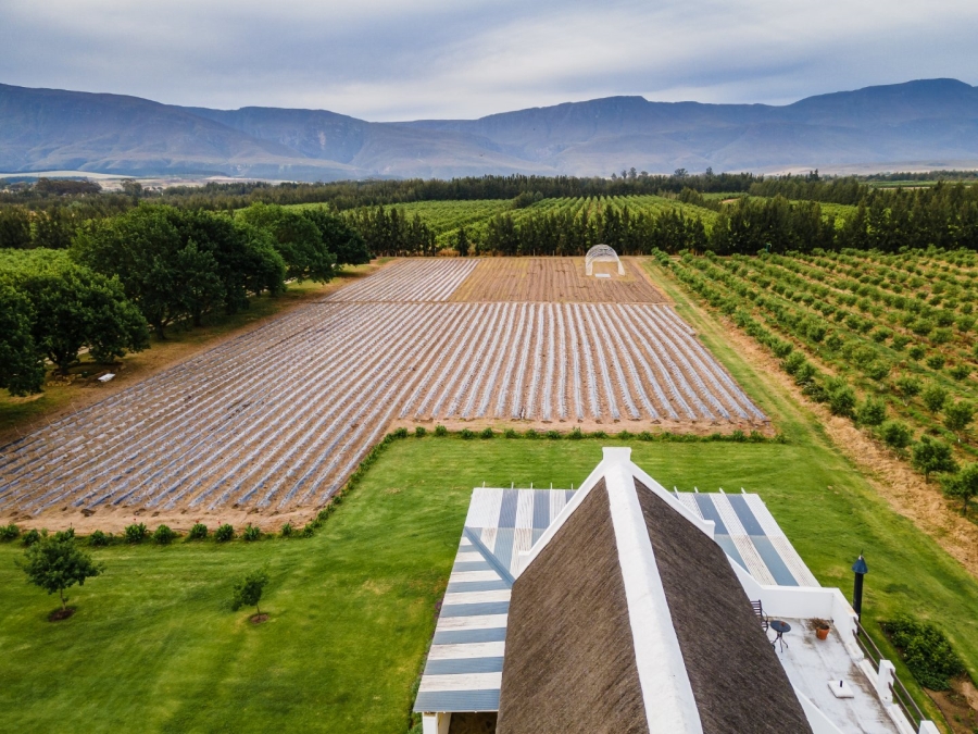 Commercial Property for Sale in Swellendam Rural Western Cape